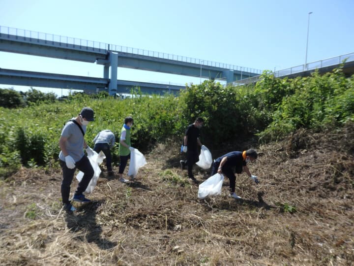 Community cleanup activities