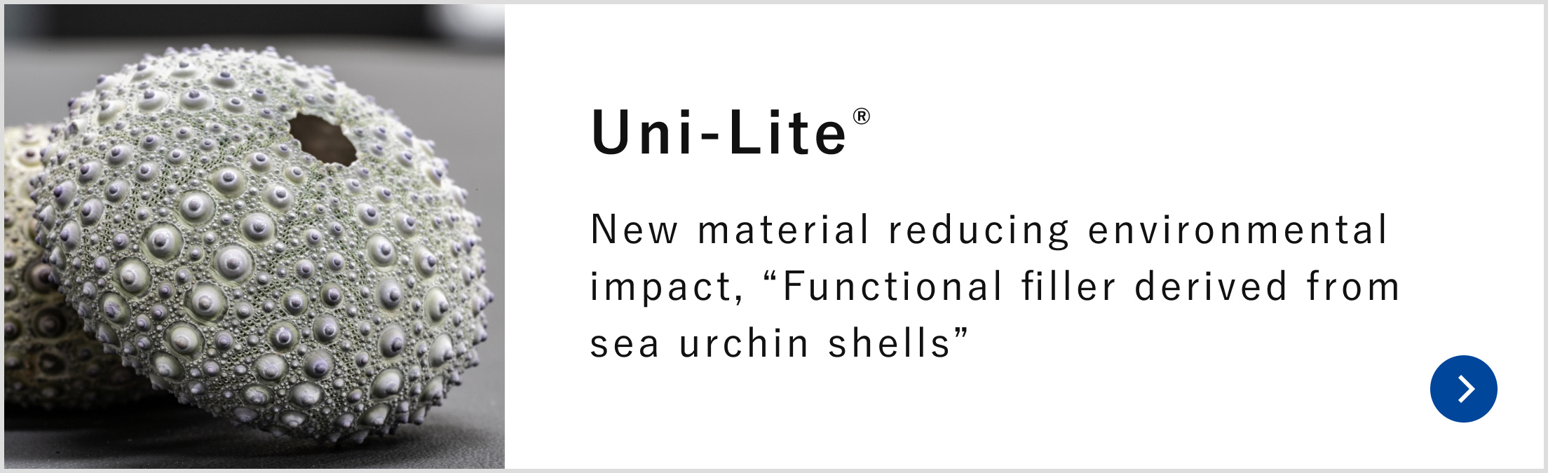 New material reducing environmental impact, “Functional filler derived from sea urchin shells